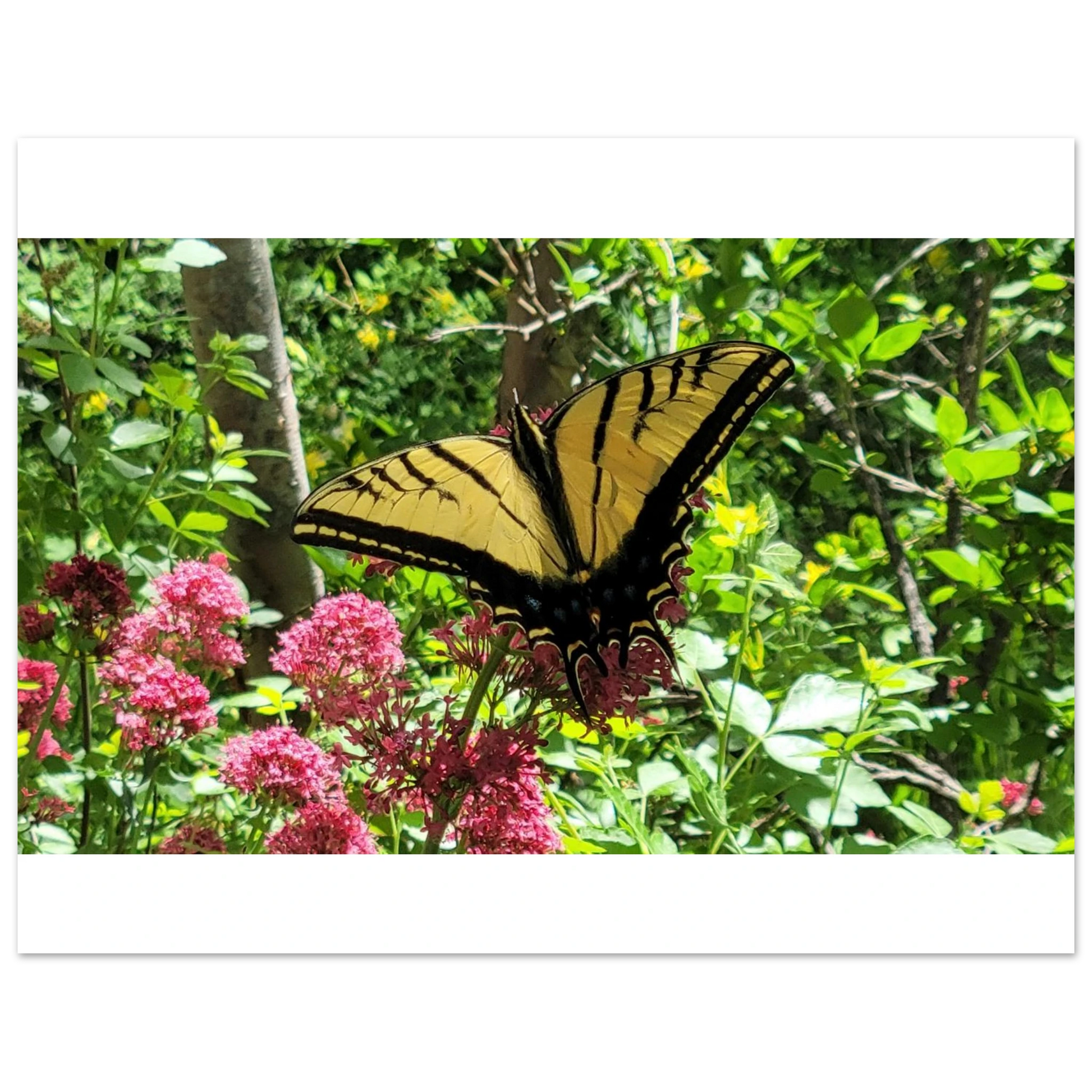 859832cc-d637-40db-be5d-82a437d585c0