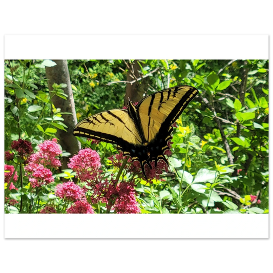 859832cc-d637-40db-be5d-82a437d585c0