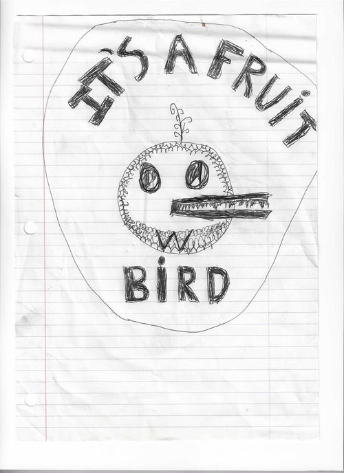 FruitBirdFilms
