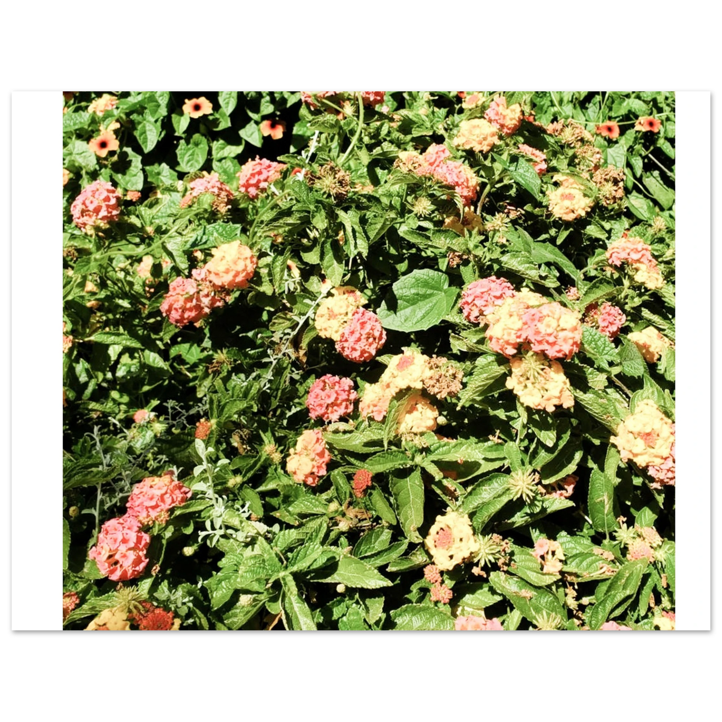 b193b5dd-8983-4bab-8b91-aaf46a62d183