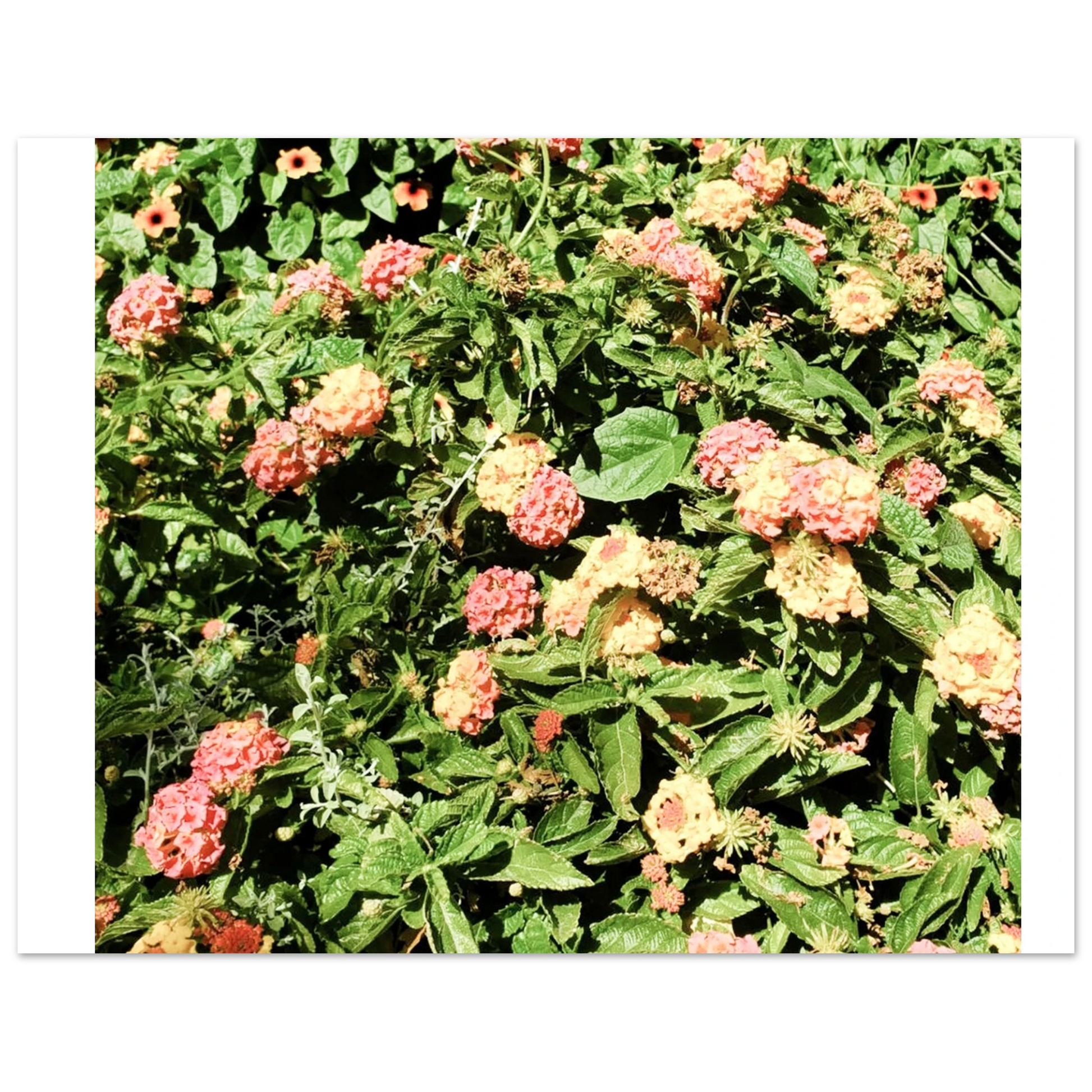 b193b5dd-8983-4bab-8b91-aaf46a62d183