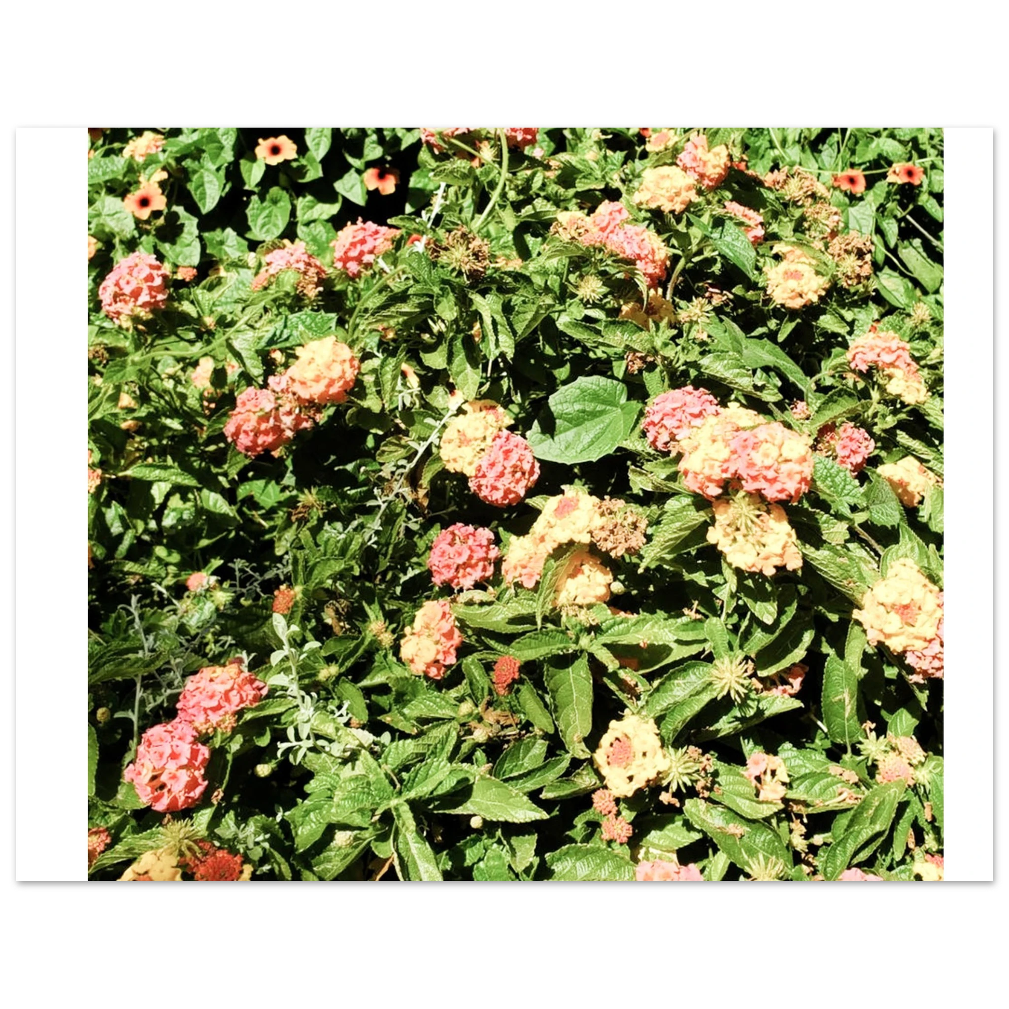 b193b5dd-8983-4bab-8b91-aaf46a62d183