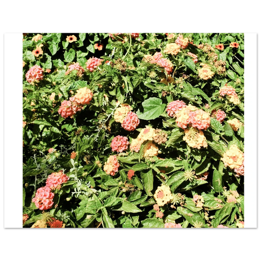 b193b5dd-8983-4bab-8b91-aaf46a62d183